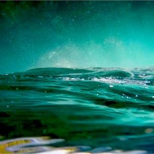 Meet your Posher, Elicia